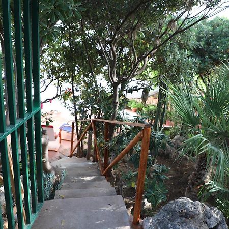 فيلا Casa Elvira تيراسيني المظهر الخارجي الصورة
