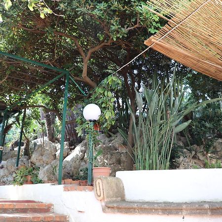 فيلا Casa Elvira تيراسيني المظهر الخارجي الصورة