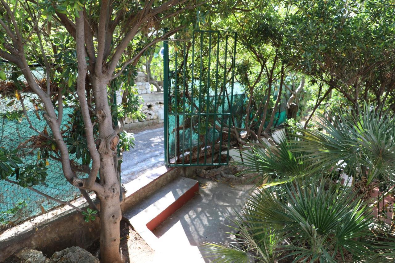 فيلا Casa Elvira تيراسيني المظهر الخارجي الصورة