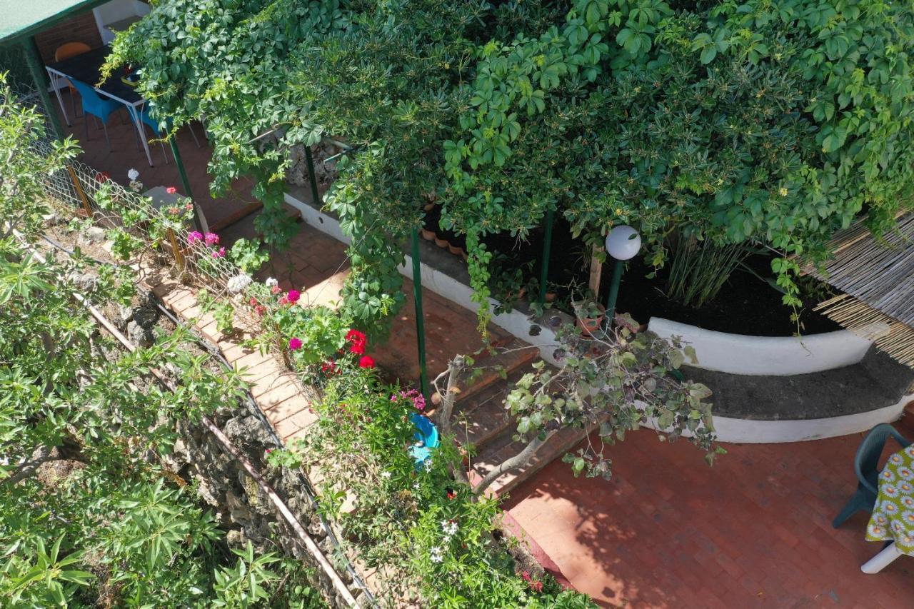 فيلا Casa Elvira تيراسيني المظهر الخارجي الصورة