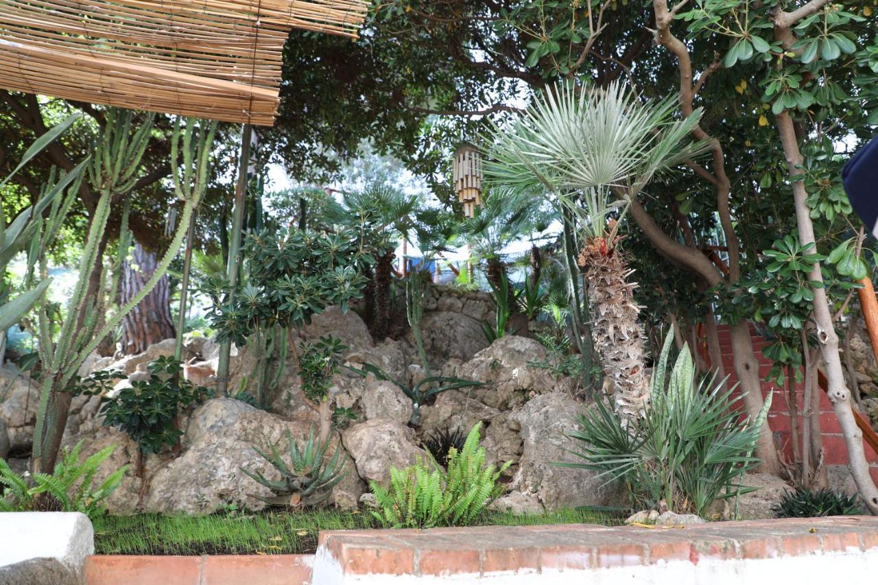 فيلا Casa Elvira تيراسيني المظهر الخارجي الصورة